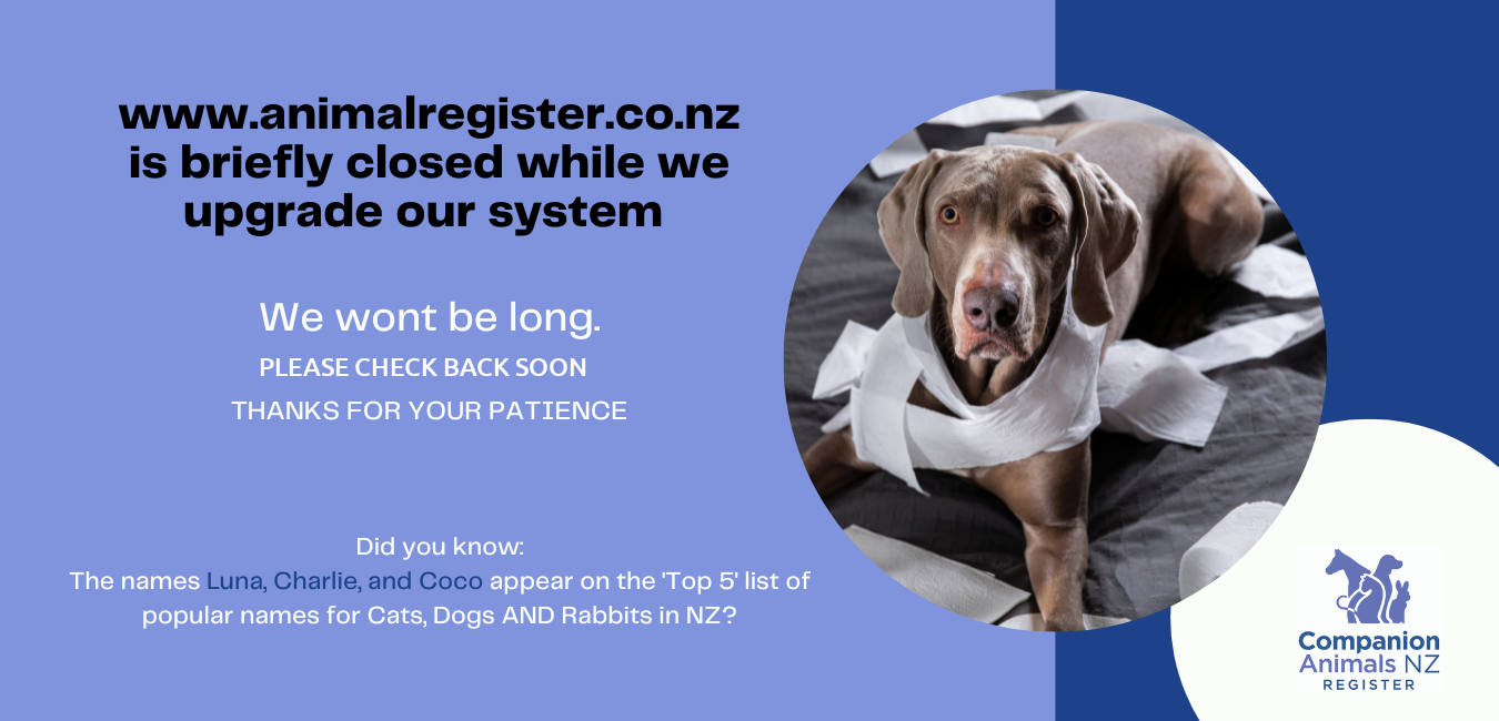 Site is offline for maintenance