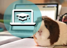 V2 Online Care Learning Modules