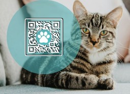 v2 Custom QR Codes v2