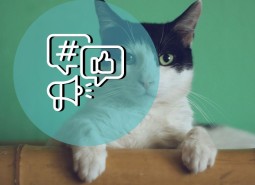 v2 Social Media Boosting
