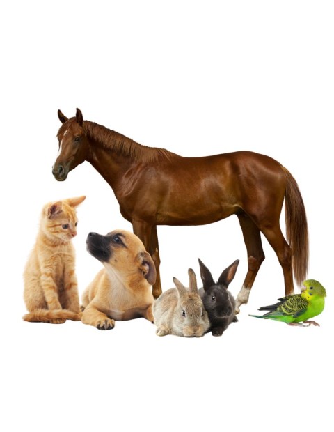 website tile images 1080 x 1080 px 10