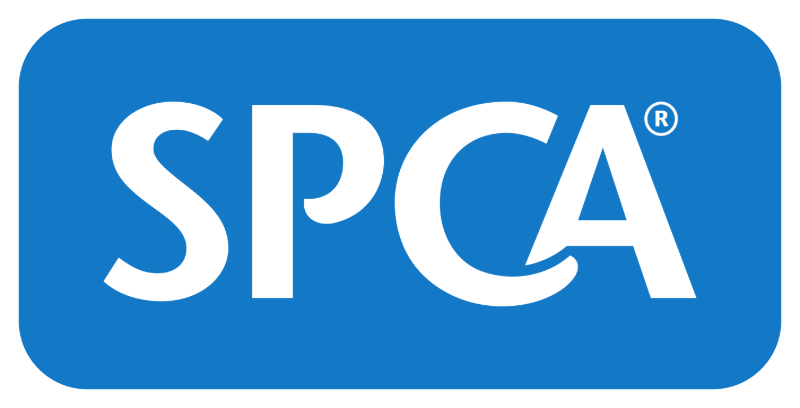 Wanganui sales spca dogs